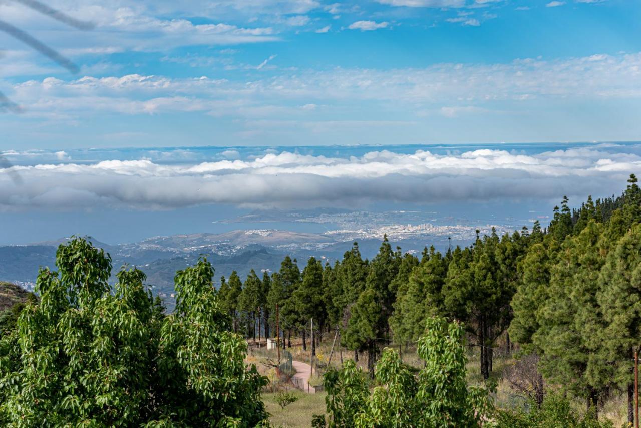 Roque Nublo Rural Houses I Vega de San Mateo Ngoại thất bức ảnh